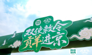 全国首个头羊节开幕，阳坊涮肉携中外特使草原开鲜，优选“五好草原羊”