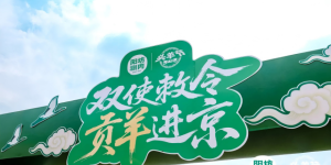 全国首个头羊节开幕，阳坊涮肉携中外特使草原开鲜，优选“五好草原羊”
