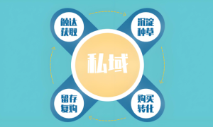 兴长信达：私域运营新机遇，电商变局中的应对之道